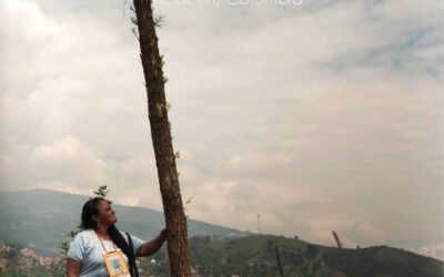 Revista El Retrovisor